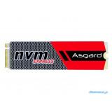 Asgard AN256 256GB