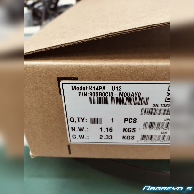 ASUS K14PA-U12 + AMD EPYC 9124