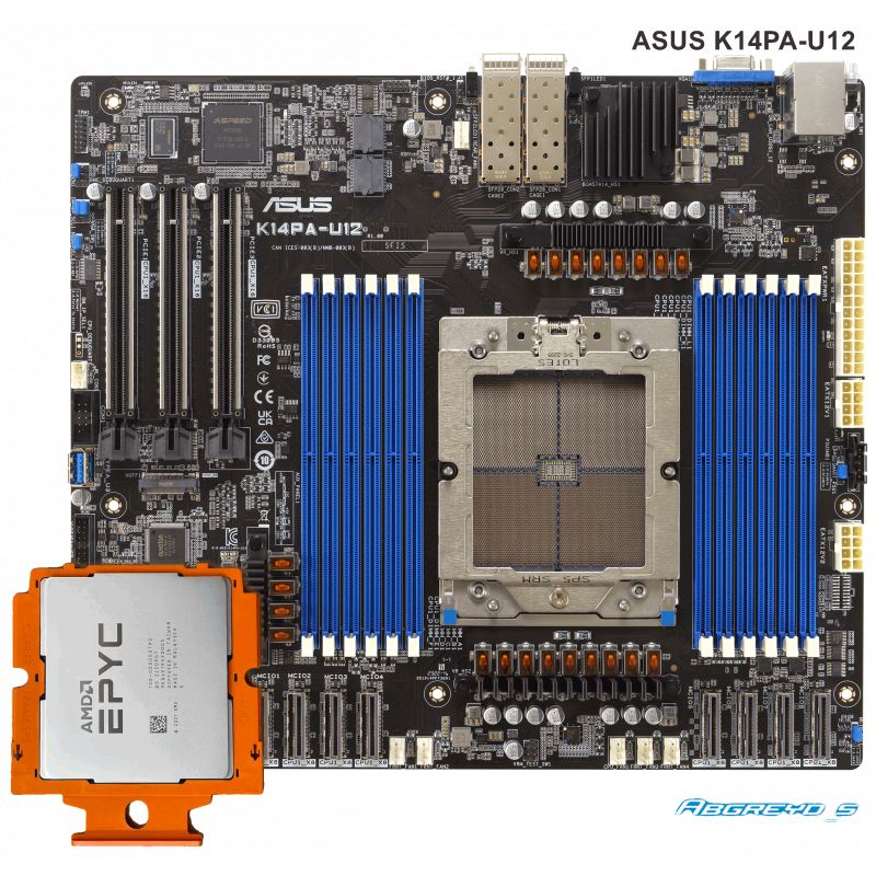 ASUS K14PA-U12 + AMD EPYC 9124