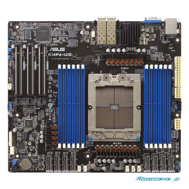 ASUS K14PA-U12 + AMD EPYC 9124