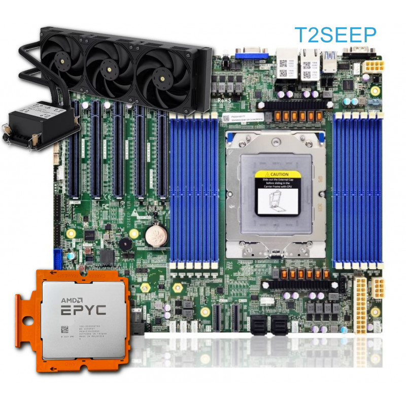 T2SEEP + AMD EPYC 9755
