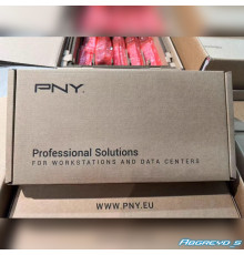 PNY RTX PRO 6000 96GB